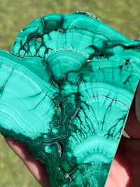 Image 7 of Malachite Polished Slab | Congo #2928