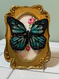 Image 2 of butterfly 