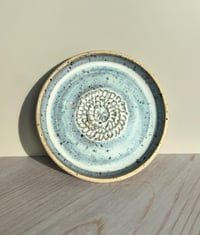 Image 2 of Garlic Grater Plate