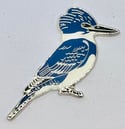 Belted Kingfisher - Large - Pin Badge/Brooch/Magnet