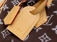 Image 18 of LV Pharrell Velvety Speedy
