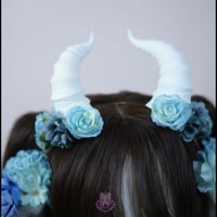 Image 2 of Blue Spring White Cow Ears