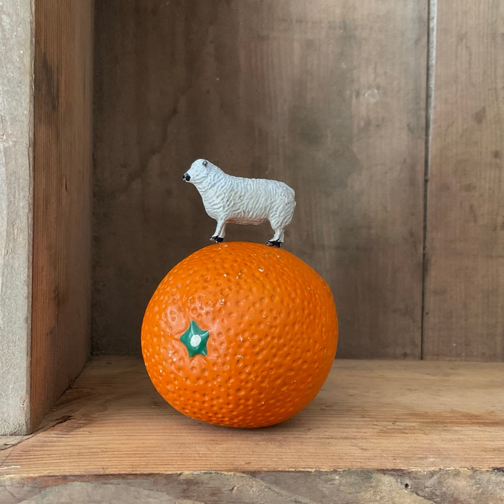 Image of Orange & Sheep