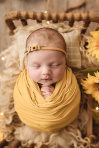 Image 4 of Sunflower Tieback 2