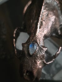 Image 2 of Mink Skull with Moonstone