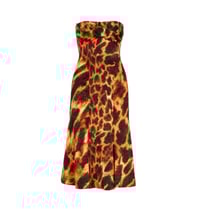 Image 1 of Roberto Cavalli Animal Print Dress