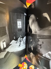 Image 7 of Arakigraph, 1996.