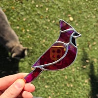 Image 3 of Small Bird