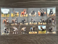 Image 2 of animal decals 