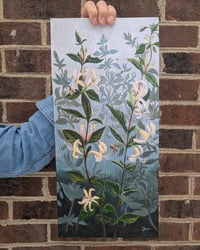 Image 1 of Honeysuckle and Bees in Acrylic, Archival Print