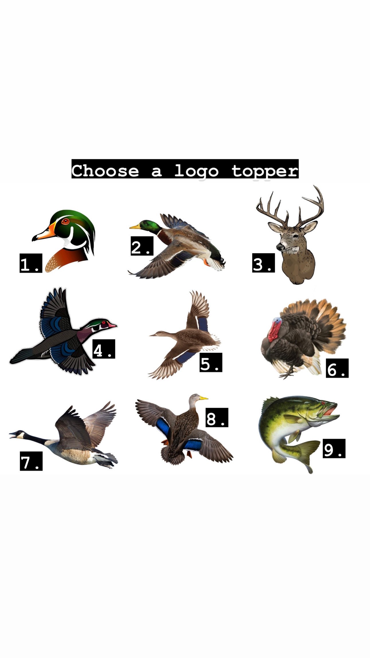 Miller Light White Build A Beer Plate Sub Gator miller-light-white-build-a-beer-plate-sub-gator