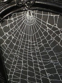 Image 2 of LARGE Gothic black ornate framed preserved web