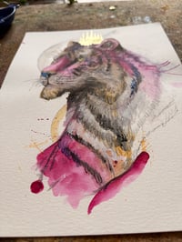 Image 2 of Roi Tigre 