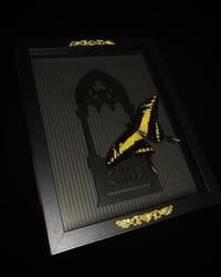 Image 2 of Cathedral King Swallowtail