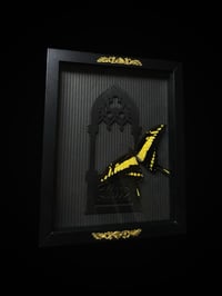 Image 1 of Cathedral King Swallowtail