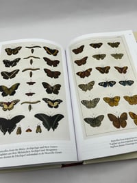 Image 6 of Seba. Cabinet of Natural Curiosities. 45th Ed.