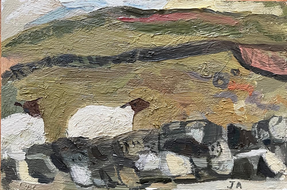 Image of Two sheep sheltering 