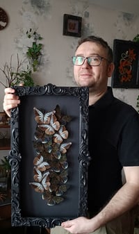 Image 3 of Fluttering Helix