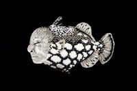 Image 2 of UP56403 ORIGINAL