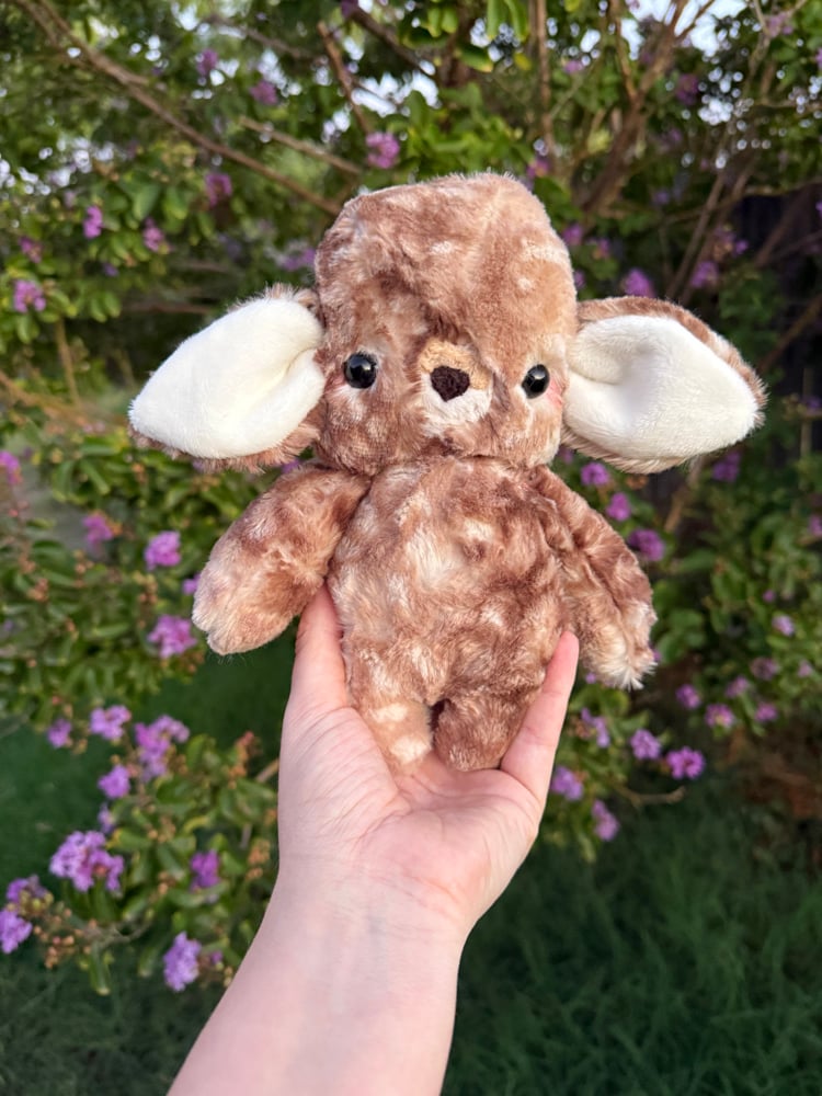 Image of Baby deer
