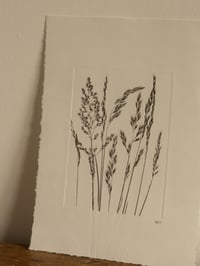 Image 5 of Mixed Grass Original Botanical Monoprint  A4 *Seconds*