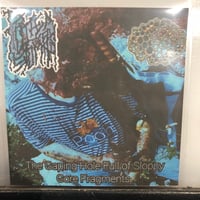 Rotten Stomach  / Degenerates Boiled Alive In Raw Human Faeces - Split CDr