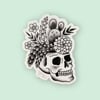 Skull Succulent Planter Sticker