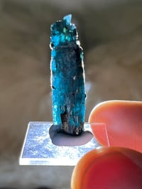 Image 1 of Ocean Kyanite Harts Range Australia #2556