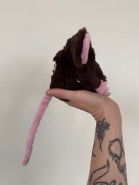Image 10 of Mystery Rat Pre-Orders 