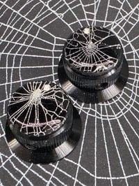 Image 3 of Preserved Web Guitar potentiometer knobs x2 - Set 2