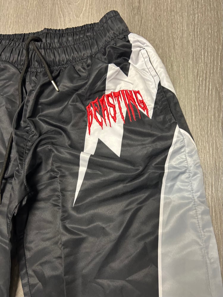 Image of “BEASTING” Trackset