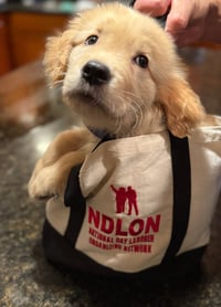 Image 1 of Limited Edition - NDLON - Mini Tote bag 