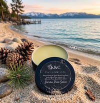 Sierra Pine Salve 8wk 2oz