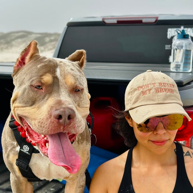 DON’T BULLY MY BREED HAT