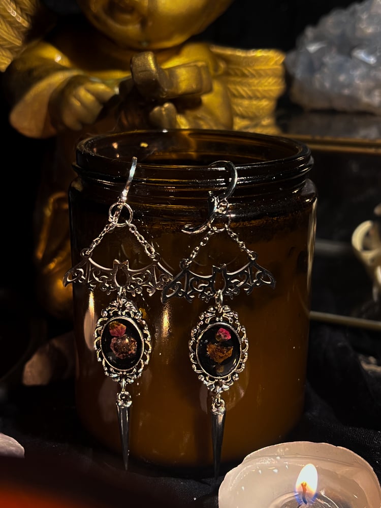 Image of The Nocturnals Earrings