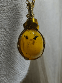 Image 1 of Tree Bark Amber 