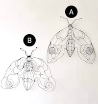 Image 3 of wire moth sculptures