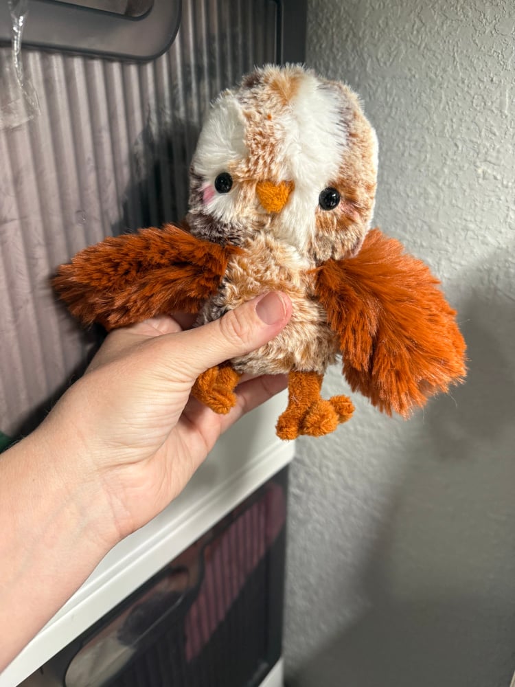 Image of burnt orange floofy chicken