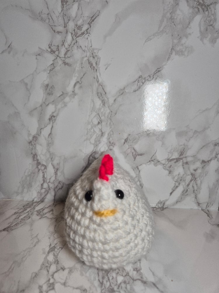Image of Steve Chicken