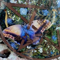 Image 2 of Brown and Blue Pentacle Plate