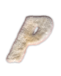 Image 1 of Palace x UGG “P” Sheepskin Rug