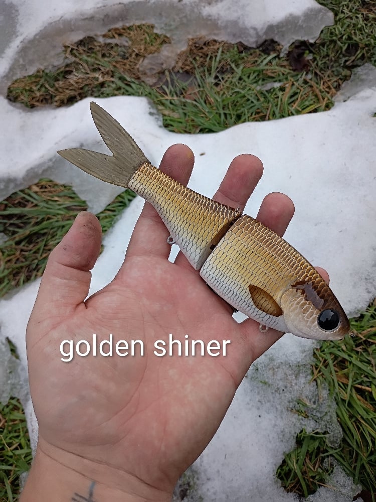 Image of Player glide