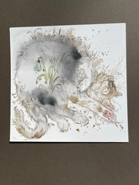 Image 2 of Dreamer - Kitty Cat Study 
