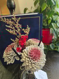 Image 3 of Zinnia Burst