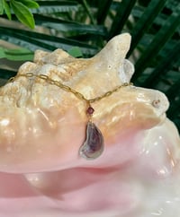 Image 1 of Small mussel  Necklace N189