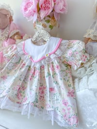 Image 2 of Daisy Dream - 12 months 