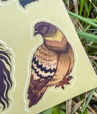 Image 4 of Urban Trash Animals Sticker Sheet 4 x 6”