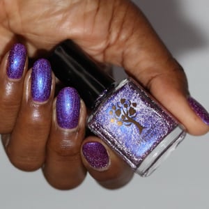 Image of Little box of Horrors