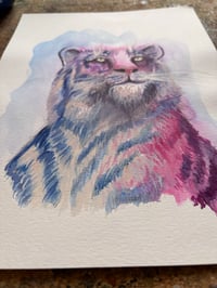 Image 2 of Tigre Rose 