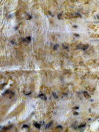 Image 2 of Silk Scarf 005